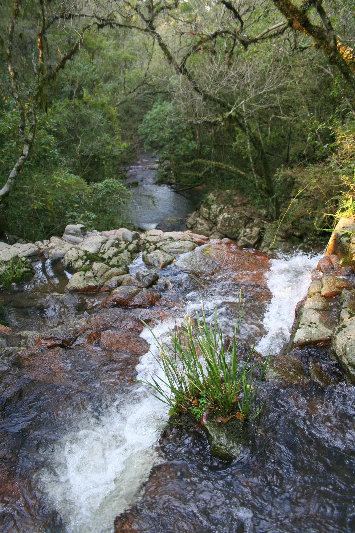 Foto do album Caçapava do Sul